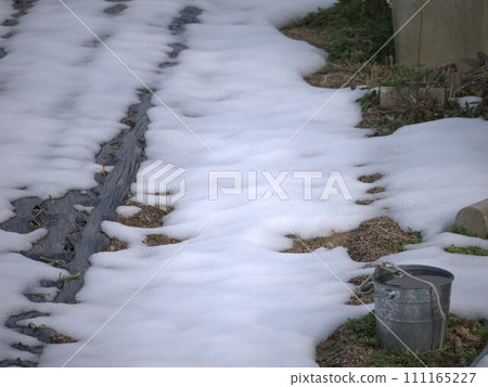 積雪的田野 積雪的田野 111165227