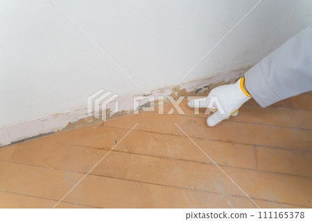 裝修工作：拆除前檢查底板 111165378