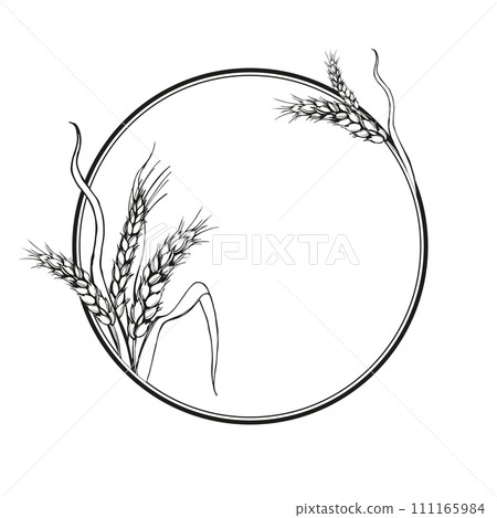 vector circle frame with ears of wheat, hand drawn illustration of branches of wheat, agriculture theme, black and white sketch of harvest theme isolated on white background 111165984