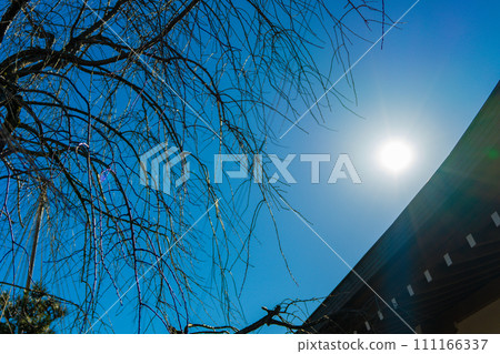 福井縣紫式部公園 111166337