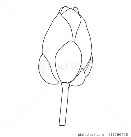 Lotus flower icon 111166426