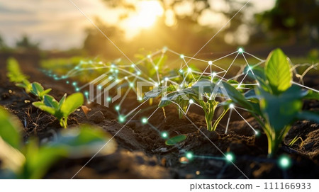 technology in farming, Precision farming system uses artificial intelligence to optimize crop yields technology in farming, Precision farming system uses artificial intelligence to optimize crop yields 111166933