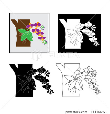 Orchid flower icon 111166979