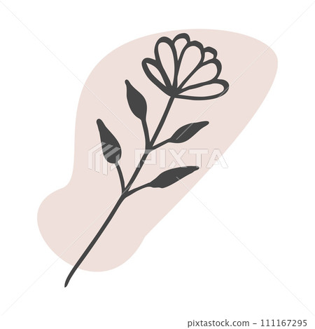 Silhouette of Herb and Flower. Vector Line art Botany element isolated on white on Color Spot. Boho style illustration in pastel colors. Outline Hand Drawn plant for Decoration, Card, Wall Art, Poster 111167295