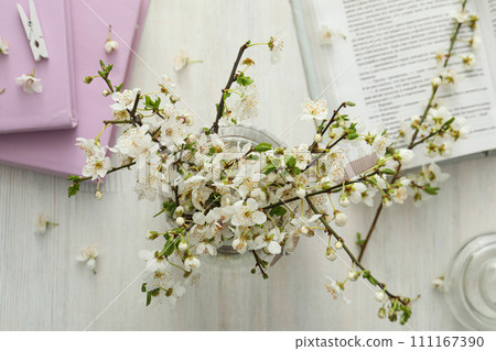 Spring twigs with flowers in a jar, with books on a light background. 111167390