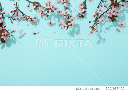 Spring twigs with flowers on a blue background. Spring twigs with flowers on a blue background. 111167411