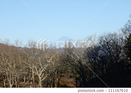 Mt. Fuji from Komuroyama 111167610