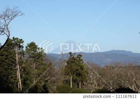 Mt. Fuji from Komuroyama 111167611