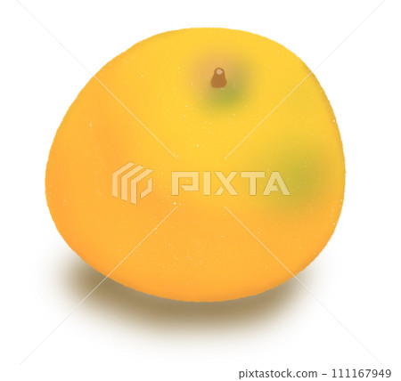 orange fruit orange fruit 111167949
