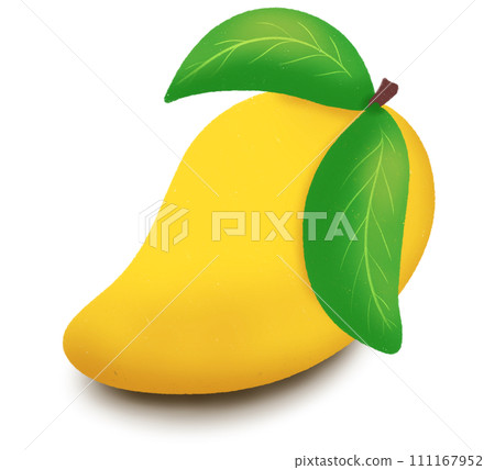Mango fruit Mango fruit 111167952