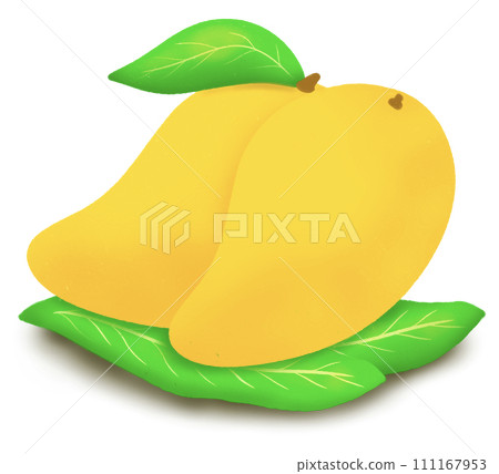 Mango fruit Mango fruit 111167953