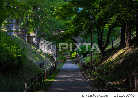 Early summer in Ueda City, Nagano Prefecture, Ueda Castle Ruins Park with fresh greenery, promenade lined with zelkova trees Early summer in Ueda City, Nagano Prefecture, Ueda Castle Ruins Park with fresh greenery, promenade lined with zelkova trees 111169746