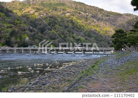 Kyoto in spring in Japan, the streets around Arashiyama, tourist attractions Togetsukyo Bridge and the Katsura River, cherry blossoms in full bloom and beautiful fresh greenery, a large bus crossing the bridge 111170402