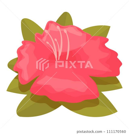Colorful rhododendron icon cartoon vector. Flower plant. Botany spring Colorful rhododendron icon cartoon vector. Flower plant. Botany spring 111170560