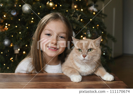 A girl near a ginger cat near a christmas tree A girl near a ginger cat near a christmas tree 111170674
