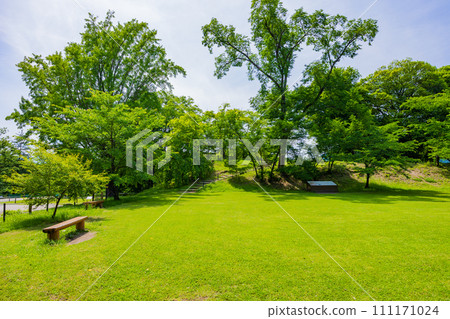 Early summer in Ueda City, Nagano Prefecture, Ueda Castle Ruins Park with fresh greenery 111171024