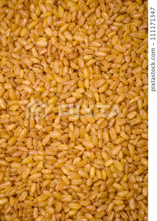 Bulgur wheat grains are yellow in color when raw 111171347