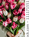 a vase filled with pink and white tulips 111171551