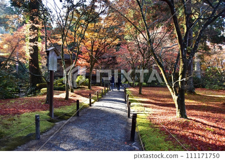 京都市大原三千院的遊成花園與秋葉 111171750