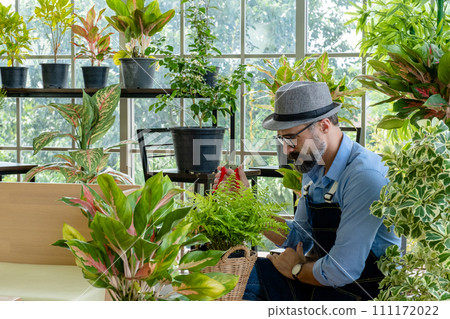 Hipster elderly men take care of the trees, pruning trees with scissors as a hobby of urban home gardening after sustainable retirement Hipster elderly men take care of the trees, pruning trees with scissors as a hobby of urban home gardening after sustainable retirement 111172022