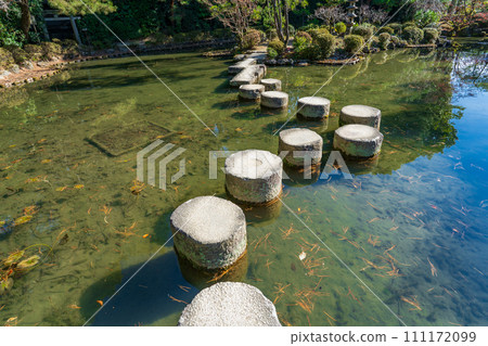 京都市平安神宮蒼龍池上的臥龍橋 111172099
