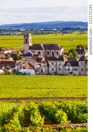 Vineyards and Pommard village, Burgundy in France. 111172191