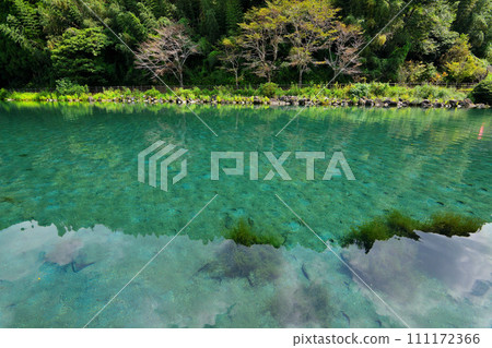 Takenaka Pond 111172366