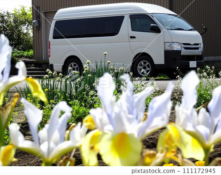 Dutch Iris and Toyota Hiace Dutch Iris and Toyota Hiace 111172945