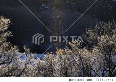 Spraying ice on the morning sun 111174374