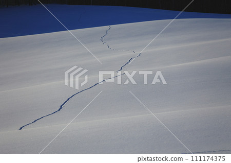 earth covered with snow earth covered with snow 111174375