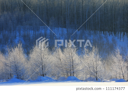 Spraying ice on the morning sun Spraying ice on the morning sun 111174377