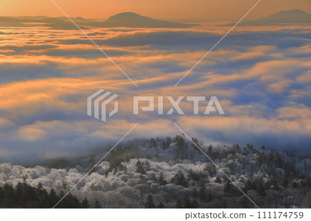 Frost-covered trees and a sea of clouds dyed by the morning sun Frost-covered trees and a sea of clouds dyed by the morning sun 111174759