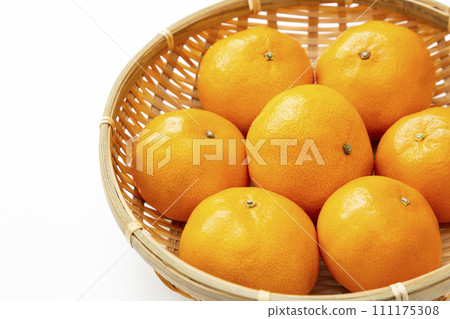 mandarin orange on white background mandarin orange on white background 111175308