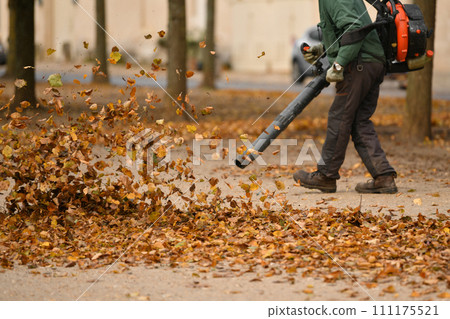 A man cleaning the park with a leaf blower 111175521