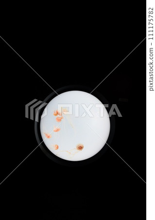 Jellyfish swimming inside the round window Jellyfish swimming inside the round window 111175782