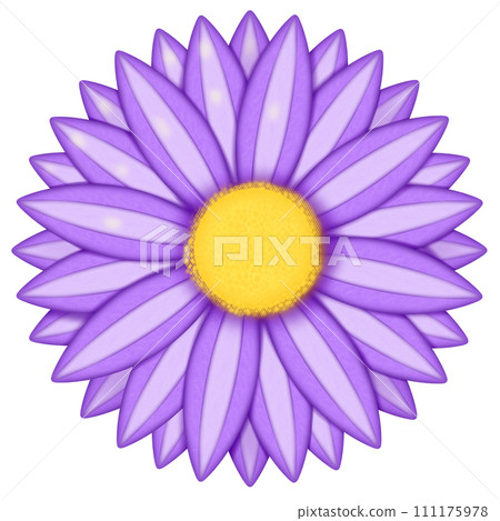 daisy isolated on white background daisy isolated on white background 111175978