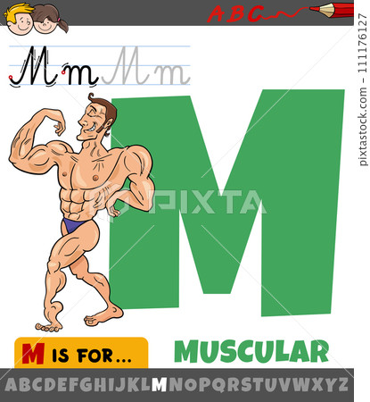 letter M from alphabet with cartoon muscular man letter M from alphabet with cartoon muscular man 111176127