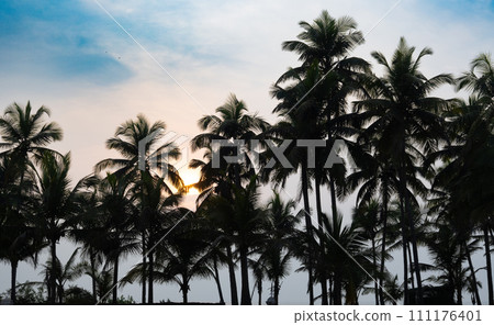 Palm trees and sunsets Palm trees and sunsets 111176401