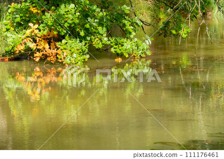 Autumn Reflections: Serene Riverbank Scene Autumn Reflections: Serene Riverbank Scene 111176461