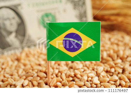 Bangkok, Thailand March 12, 2023 Wheat grains with US dollar banknotes, trade export and economy concept. Bangkok, Thailand March 12, 2023 Wheat grains with US dollar banknotes, trade export and economy concept. 111176497