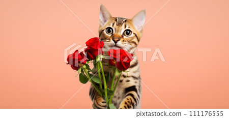 Cute cat with a bouquet of flowers on a uniform background 111176555