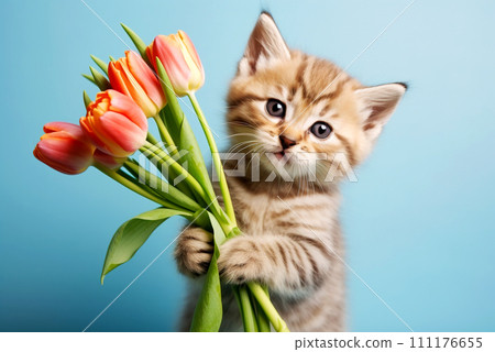 Cute kitten cat with a bouquet of tulips on a blue background. 111176655
