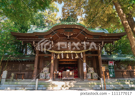 春天堤道神社、箕內雛祭（愛知縣一宮市） 111177017