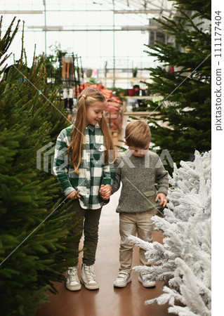 Brother and sister looking for a Christmas tree at the market 111177404