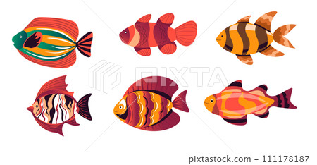 Aquarium dwellers, exotic or tropical fishes set Aquarium dwellers, exotic or tropical fishes set 111178187