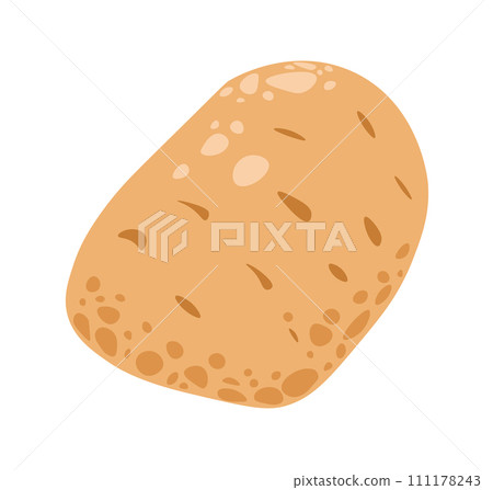 Organic vegetables from farm natural potato vector 111178243