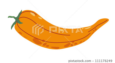 Ripe and tasty pepper, fresh and organic product 111178249