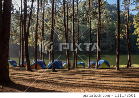 Camping, Entertainment Tent, Tent, Adult, Adventure Camping, Entertainment Tent, Tent, Adult, Adventure 111178501