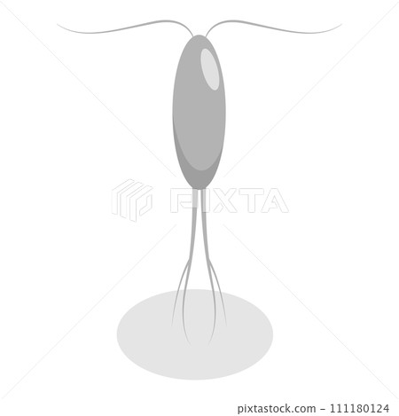 3D Isometric Flat Vector Set of Varieties Of Plankton. Item 5 111180124