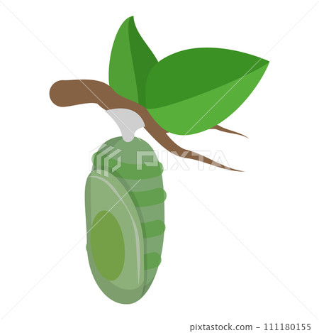 3D Isometric Flat Vector Illustration of Butterfly Metamorphosis. Item 5 3D Isometric Flat Vector Illustration of Butterfly Metamorphosis. Item 5 111180155